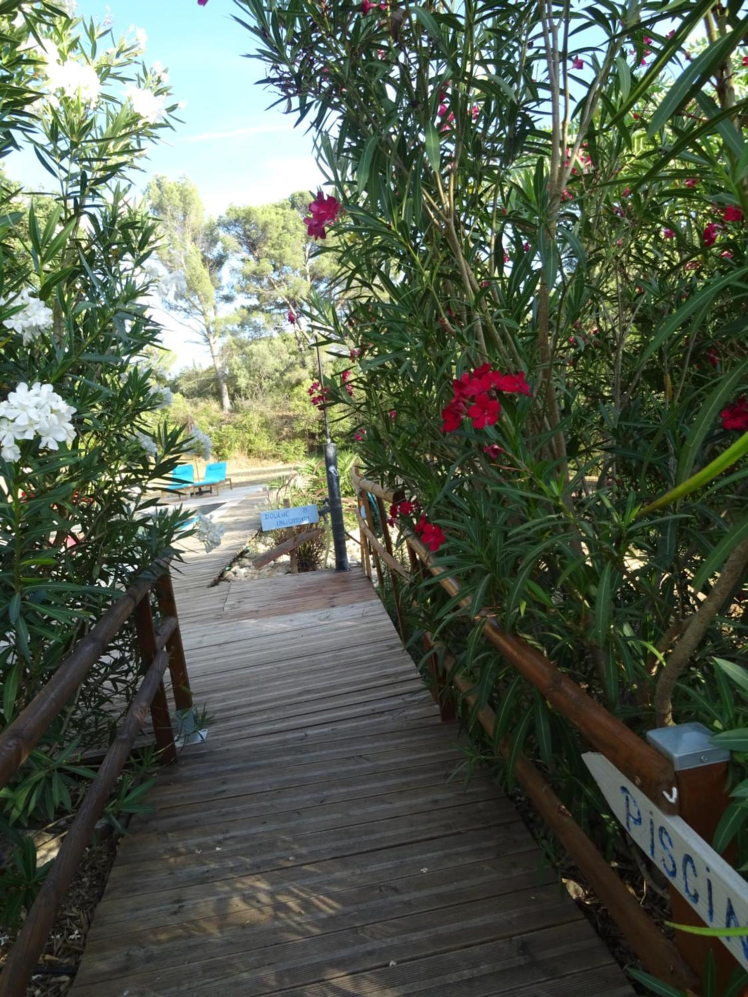 Les Ecrins D'Aix-En-Provence Villa Exteriör bild